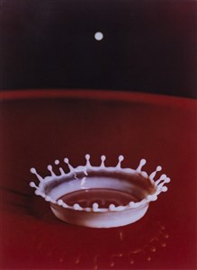 Image description is not available for 2021.005